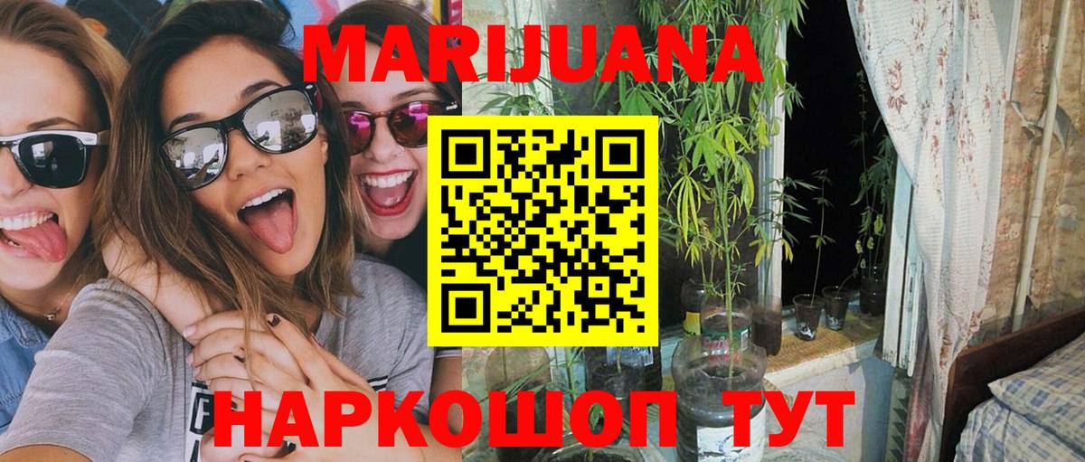 Марихуана тримм  Вход с VPN  Благодарный  Каннабис конопля 